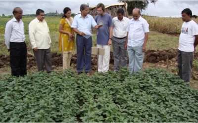 Homa Organic Soybean Study University of Dharwad