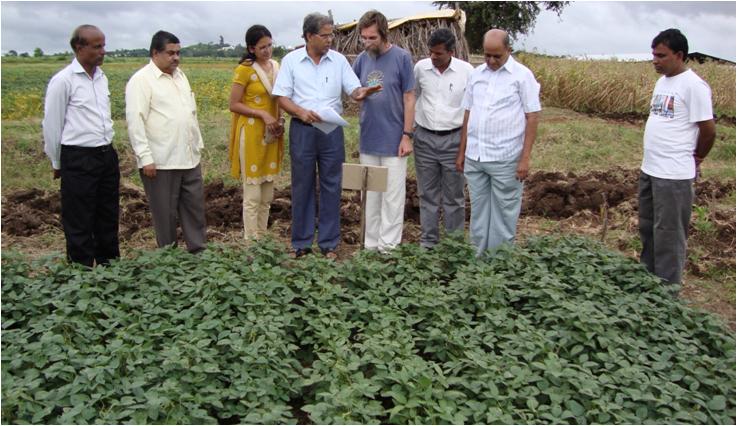 Homa Organic Soybean Study University of Dharwad